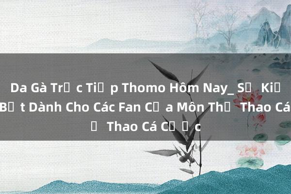 Da Gà Trực Tiếp Thomo Hôm Nay_ Sự Kiện Nổi Bật Dành Cho Các Fan Của Môn Thể Thao Cá Cược