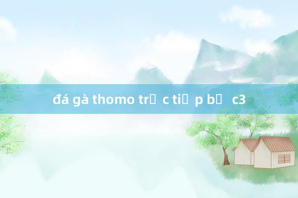 đá gà thomo trực tiếp bồ c3