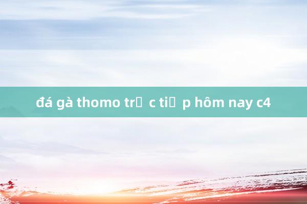 đá gà thomo trực tiếp hôm nay c4