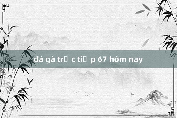 đá gà trực tiếp 67 hôm nay