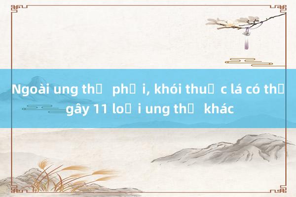 Ngoài ung thư phổi， khói thuốc lá có thể gây 11 loại ung thư khác