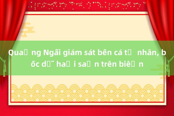 Quảng Ngãi giám sát bến cá tư nhân， bốc dỡ hải sản trên biển