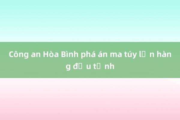 Công an Hòa Bình phá án ma túy lớn hàng đầu tỉnh