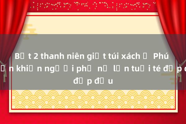 Bắt 2 thanh niên giật túi xách ở Phú Nhuận khiến người phụ nữ lớn tuổi té đập đầu