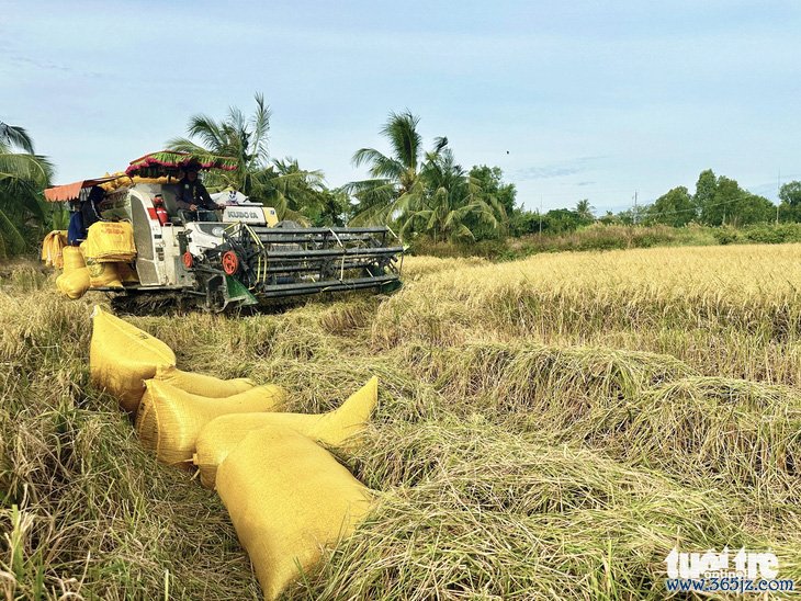 Kiên Giang có tốc độ tăng trưởng 7，5%， sản lượng lúa cao nhất nước - Ảnh 2.